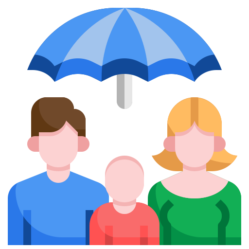 Shield Icon